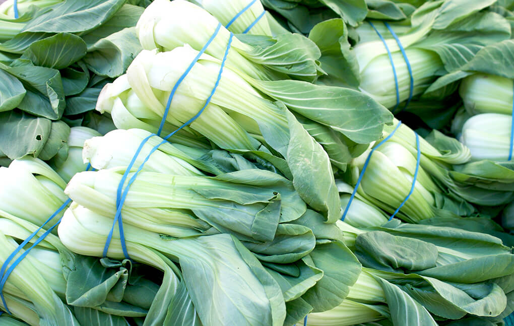 How to Make a Simple Spaghetti Squash sarahkayhoffman.com Bok Choy