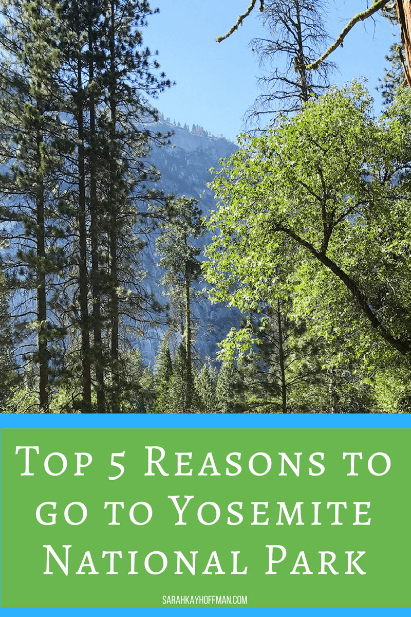 Top 5 Reasons to go to Yosemite National Park sarahkayhoffman.com