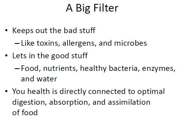 A Big Filter 13 Favorite Pieces of Gut Information sarahkayhoffman.com