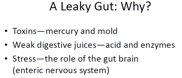 A Leaky Gut: Why? 13 Favorite Pieces of Gut Information sarahkayhoffman.com