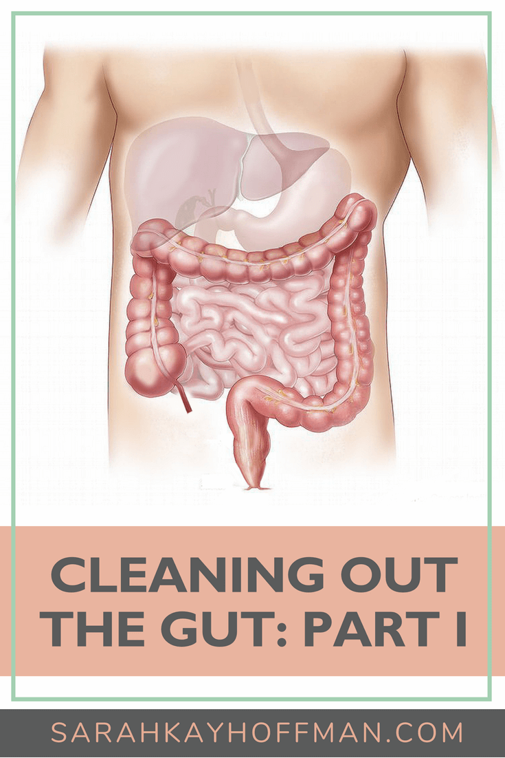 Cleaning Out the Gut Part I www.sarahkayhoffman.com #guthealth #healthyliving #healthcoach #ibs #ibd