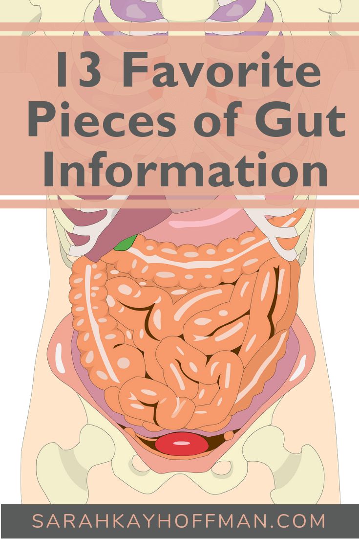 13 Favorite Pieces of Gut Information www.sarahkayhoffman.com #guthealth #guthealing #healthyliving #SIBO #IBS