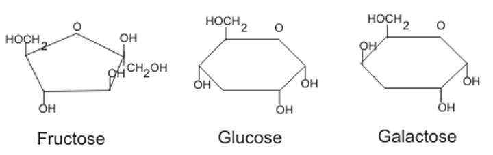 monosaccharide foods