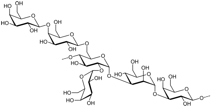 Polysaccharide Structure