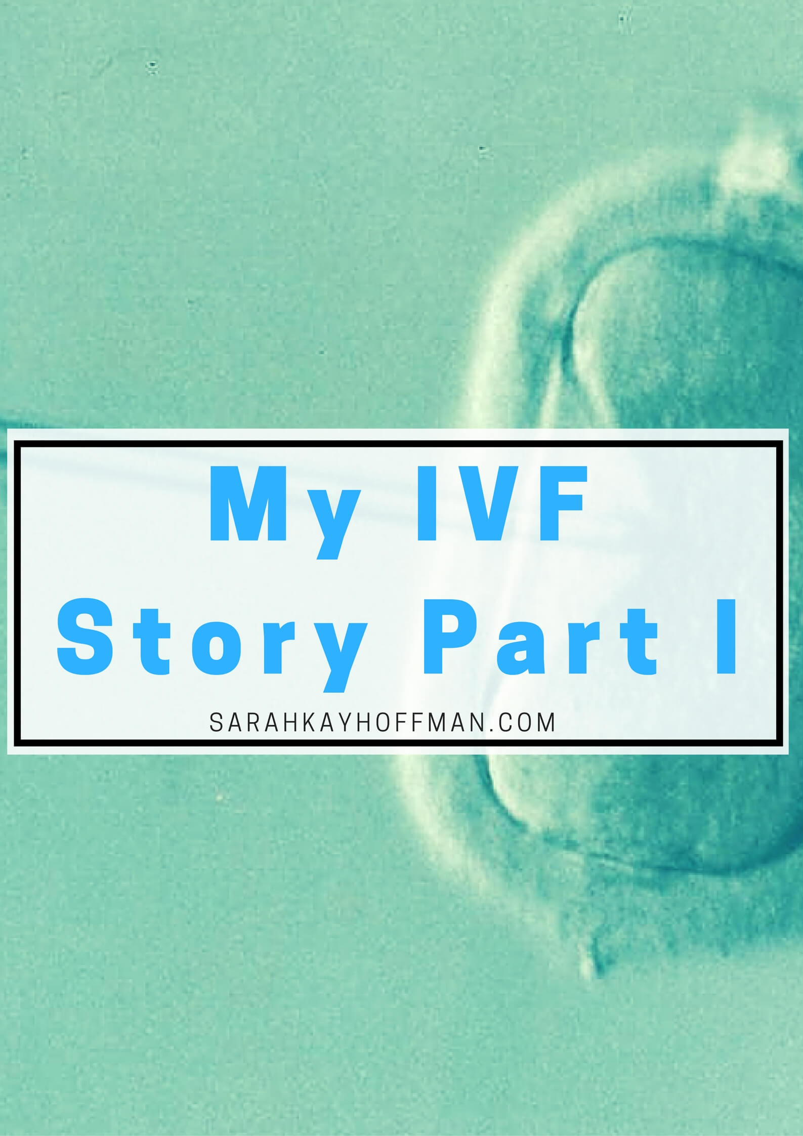 My IVF Story Part I sarahkayhoffman.com Infertility