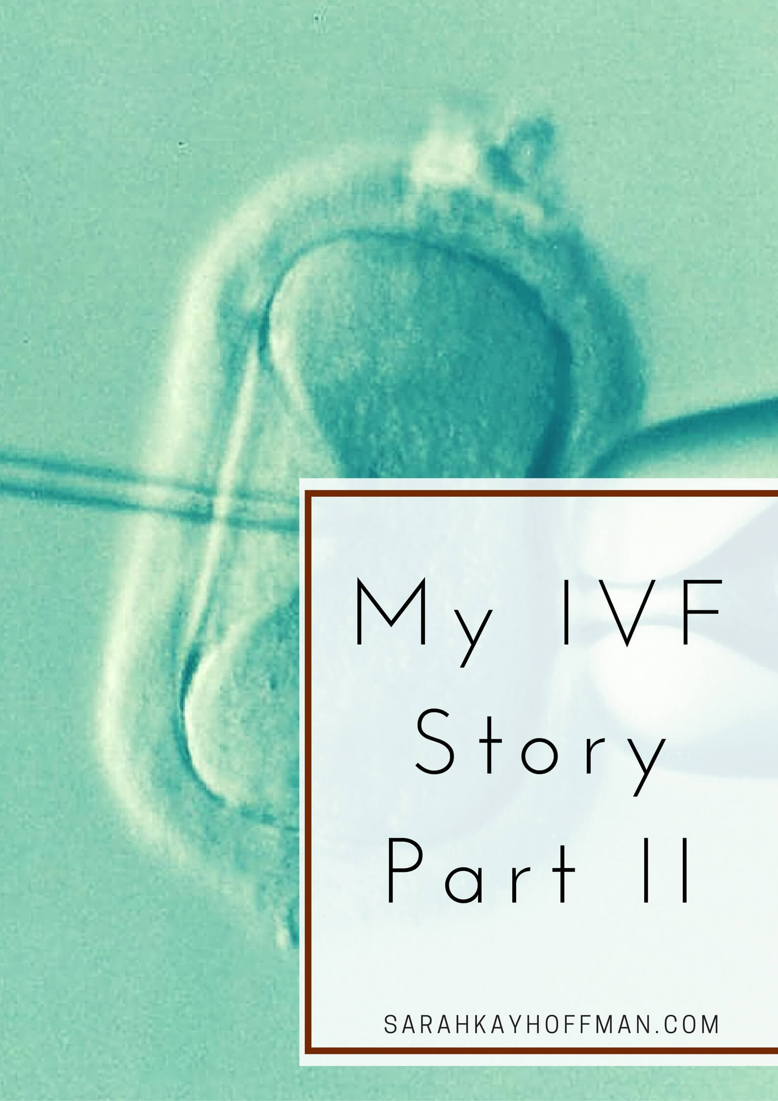 My IVF Story Part II sarahkayhoffman.com Infertility Adoption