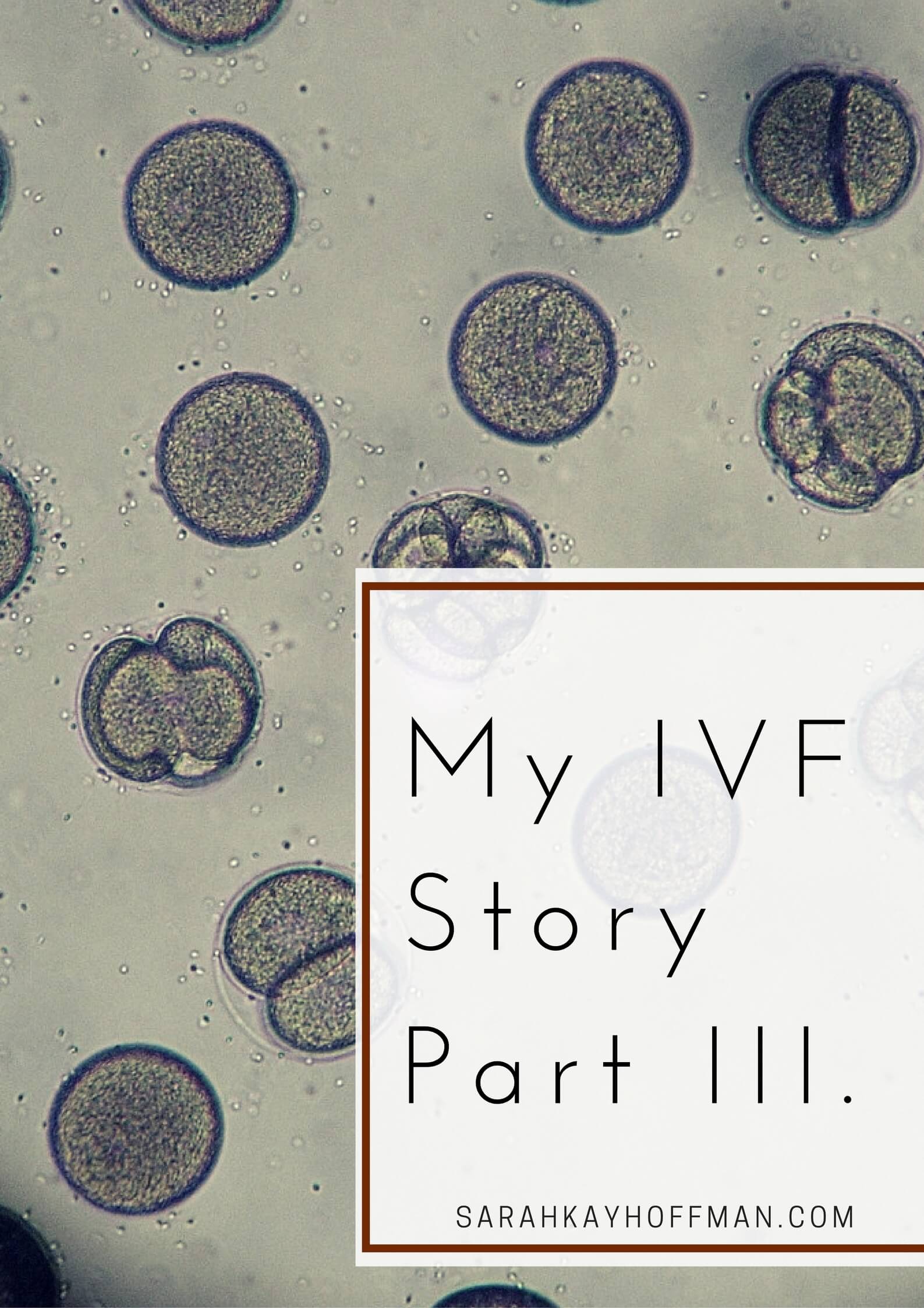My IVF Story Part III via sarahkayhoffman.com