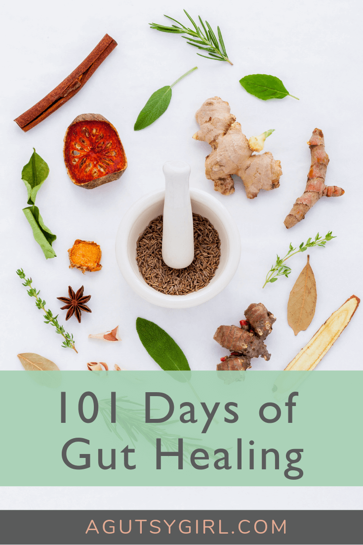 101 Days Healing gut agutsygirl.com #guthealth #guthealing #healthyliving