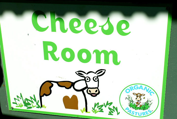 Raw Dairy Information sarahkayhoffman.com Cheese Room at Organic Pastures www.agutsygirl.com