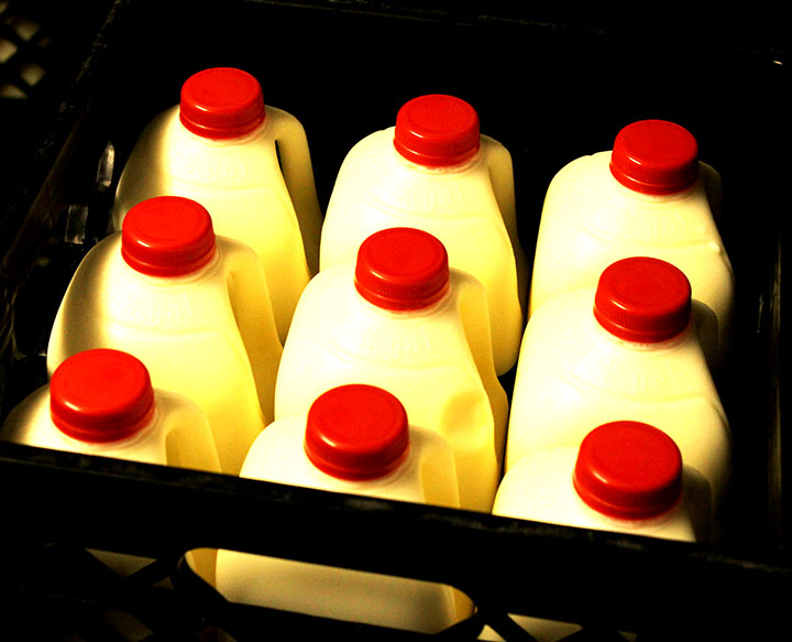 Raw Dairy Information sarahkayhoffman.com Cold Milk Jugs at Organic Pastures 