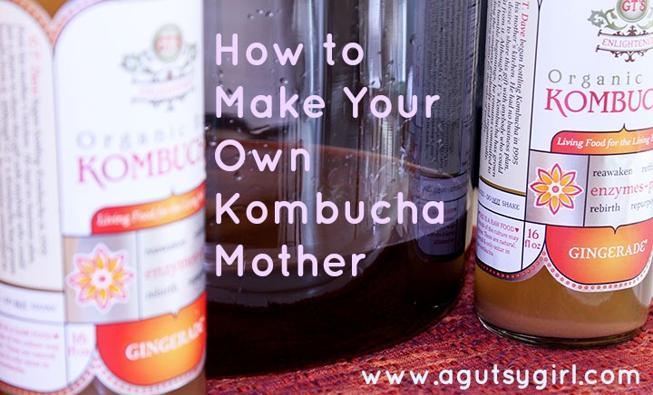 How to Make Your Own Kombucha Mother via www.agutsygirl.com