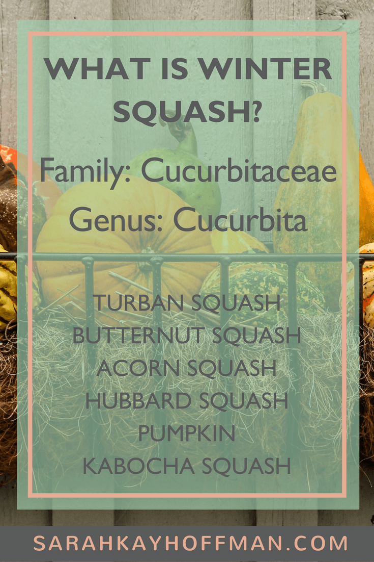 wicked winter squash with ibs and ibd