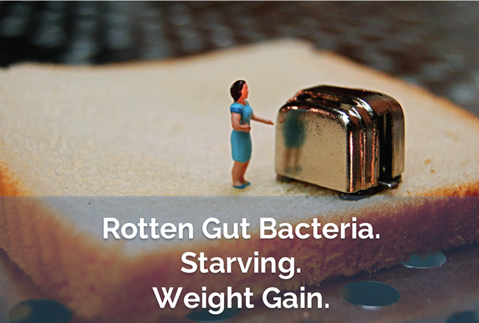 Rotten Gut Bacteria Starving Weight Gain via www.agutsygirl.com