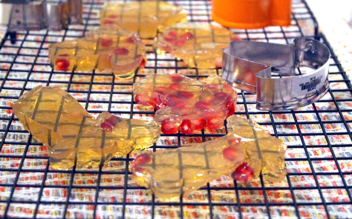Gelatin for Gut Healing and a Pomegranate Homemade JELL-O Jiggler Recipe www.sarahkayhoffman.com