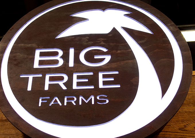 Big Tree Farms Review via www.agutsygirl.com #ExpoWest2014