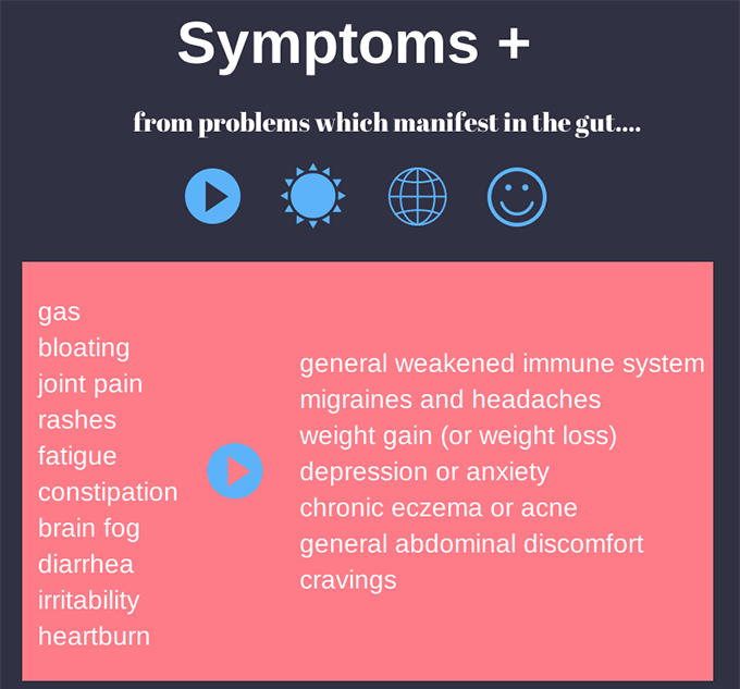 Symptoms of Gut IBS IBD sarahkayhoffman.com