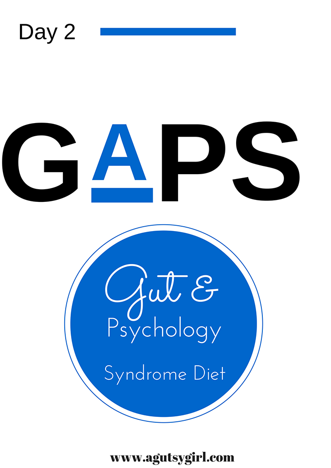 GAPS Diet Day 2 www.agutsygirl.com