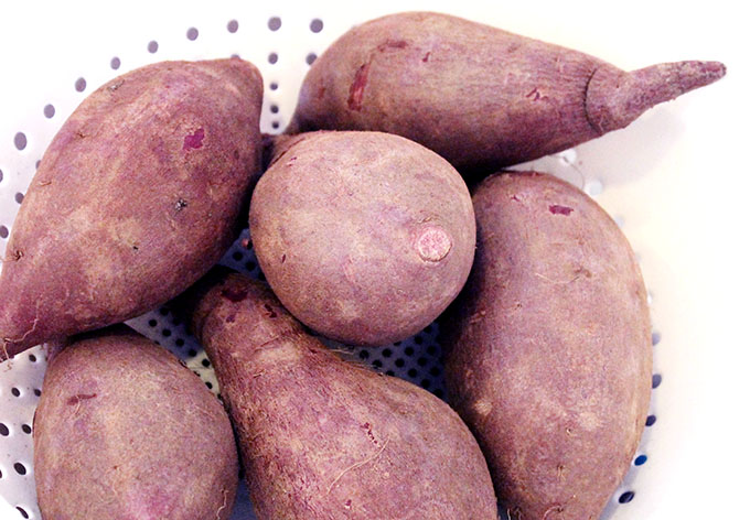Purple Potato Punkin' Chunkin' baby food recipe Squeeze Station www.agutsygirl.com