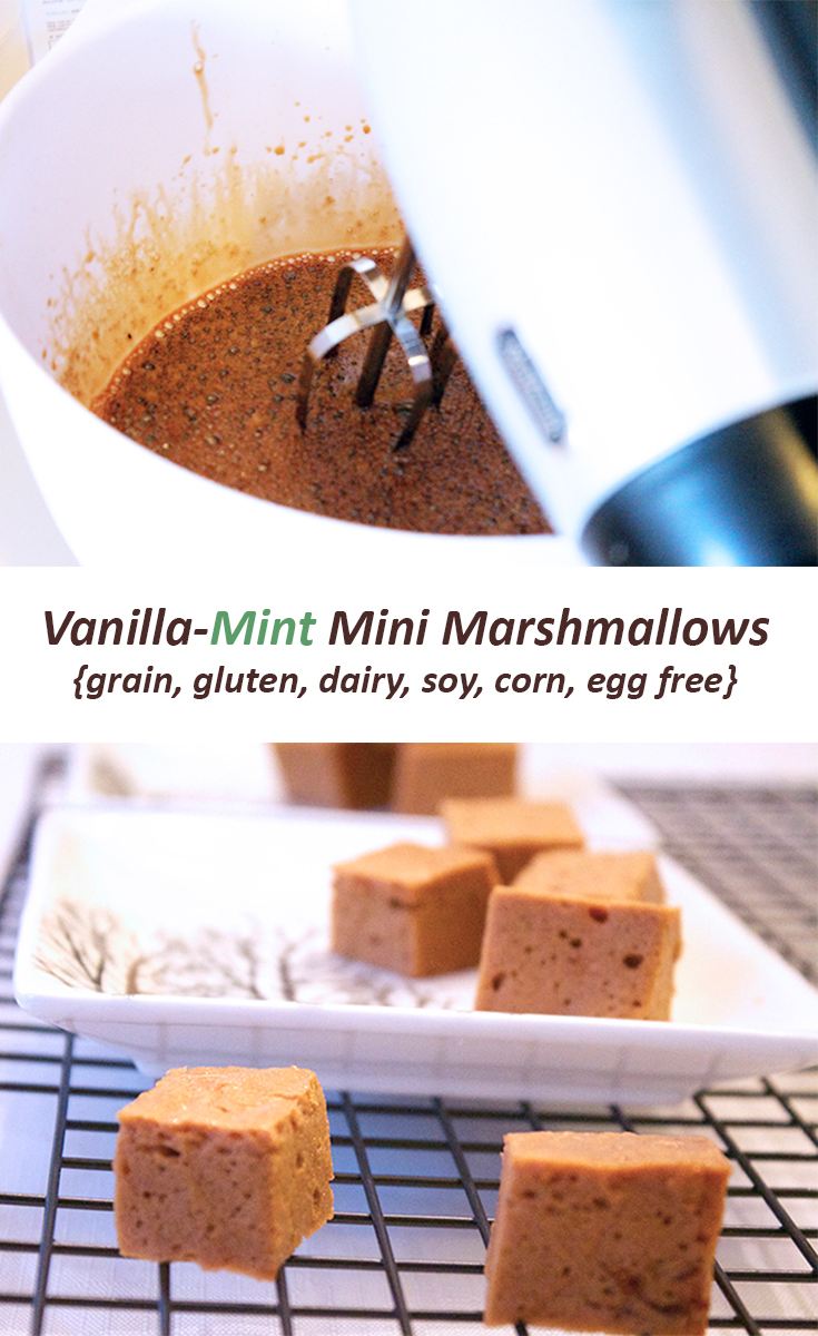 Vanilla Mint Mini Marshmallows for sarahkayhoffman.com