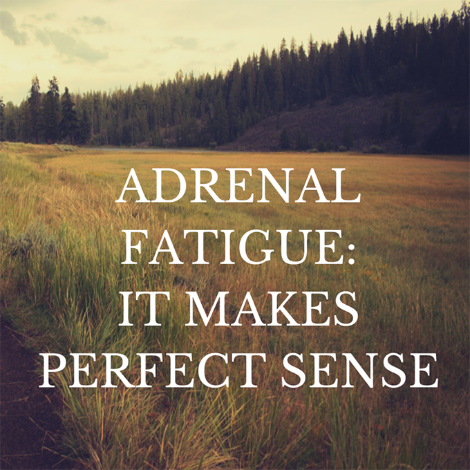 Adrenal Fatigue, it makes perfect sense sarahkayhoffman.com