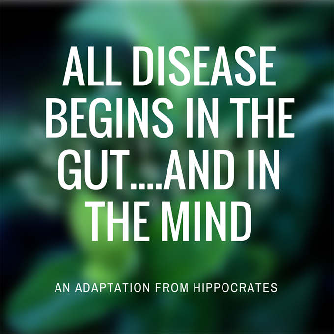 all disease begins in the gut....and in the mind. i'm healing. sarahkayhoffman.com