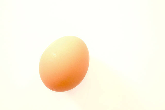 Eggs and the ER. sarahkayhoffman.com