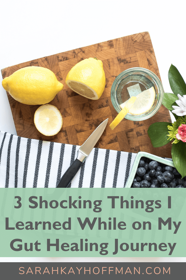 3 Shocking Things I Learned About Healing While on My Gut Healing Journey www.sarahkayhoffman.com #guthealth #healthyliving #ibs #ibd #sibo