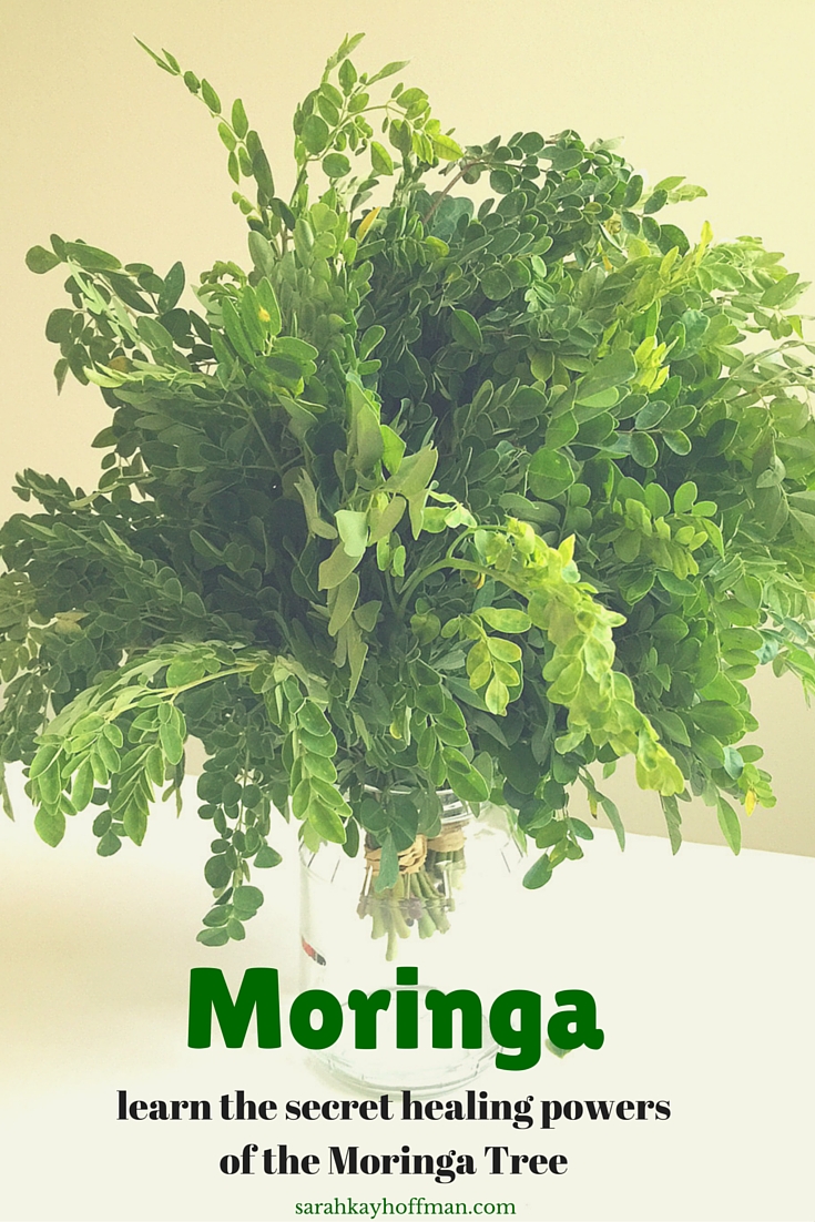 Learn the Secret healing powers of the Moringa Tree sarahkayhoffman.com