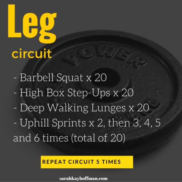Leg Circuit Fitness Workout Sarahkayhoffman.com Spartan Workout Spartan Training, Week 8. Are you ready to become a Spartan? A new leg workout circuit that I love via sarahkayhoffman.com