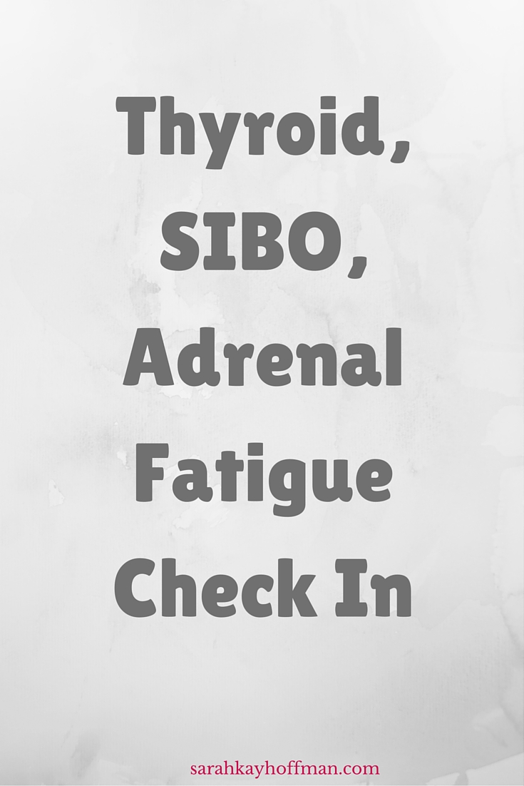 Thyroid, SIBO, Adrenal Fatigue Check In sarahkayhoffman.com