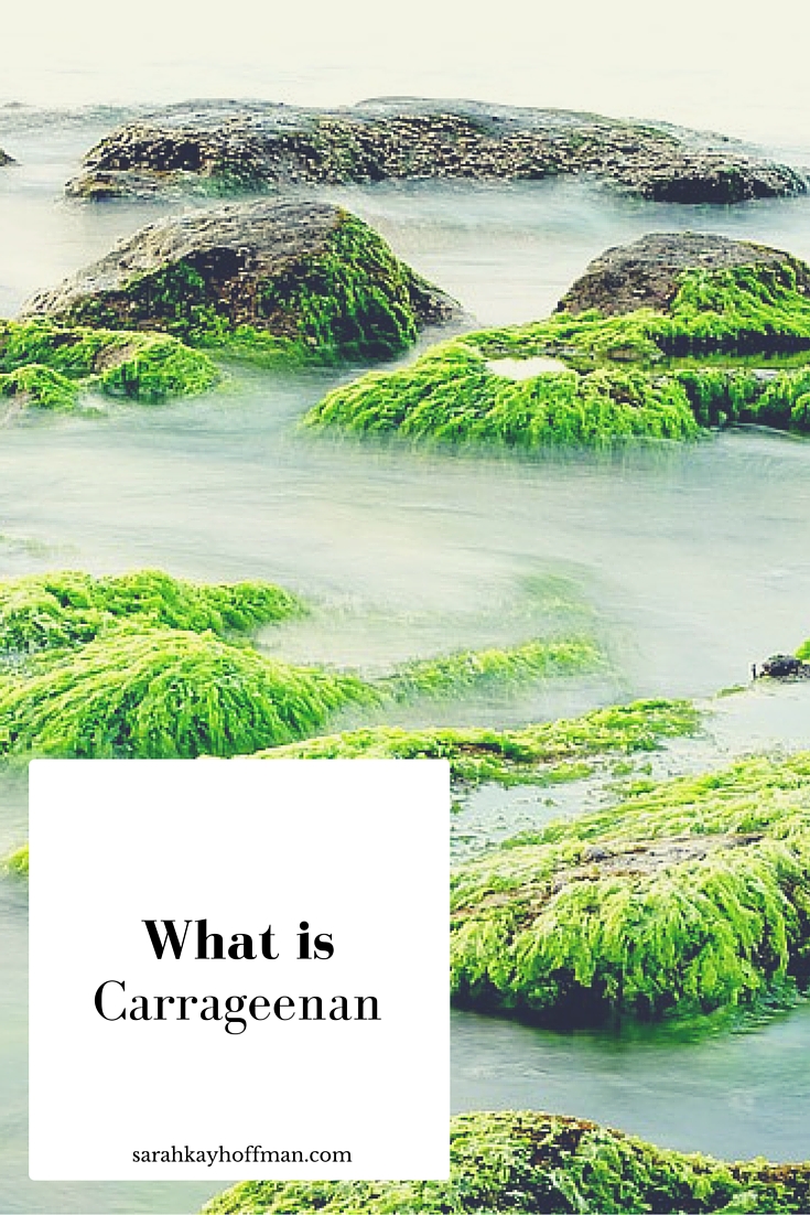 What is Carrageenan? IBS IBD sarahkayhoffman.com