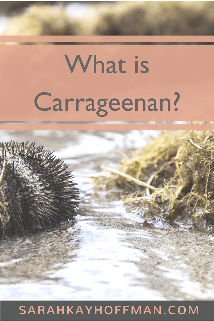 What is Carrageenan sarahkayhoffman.com