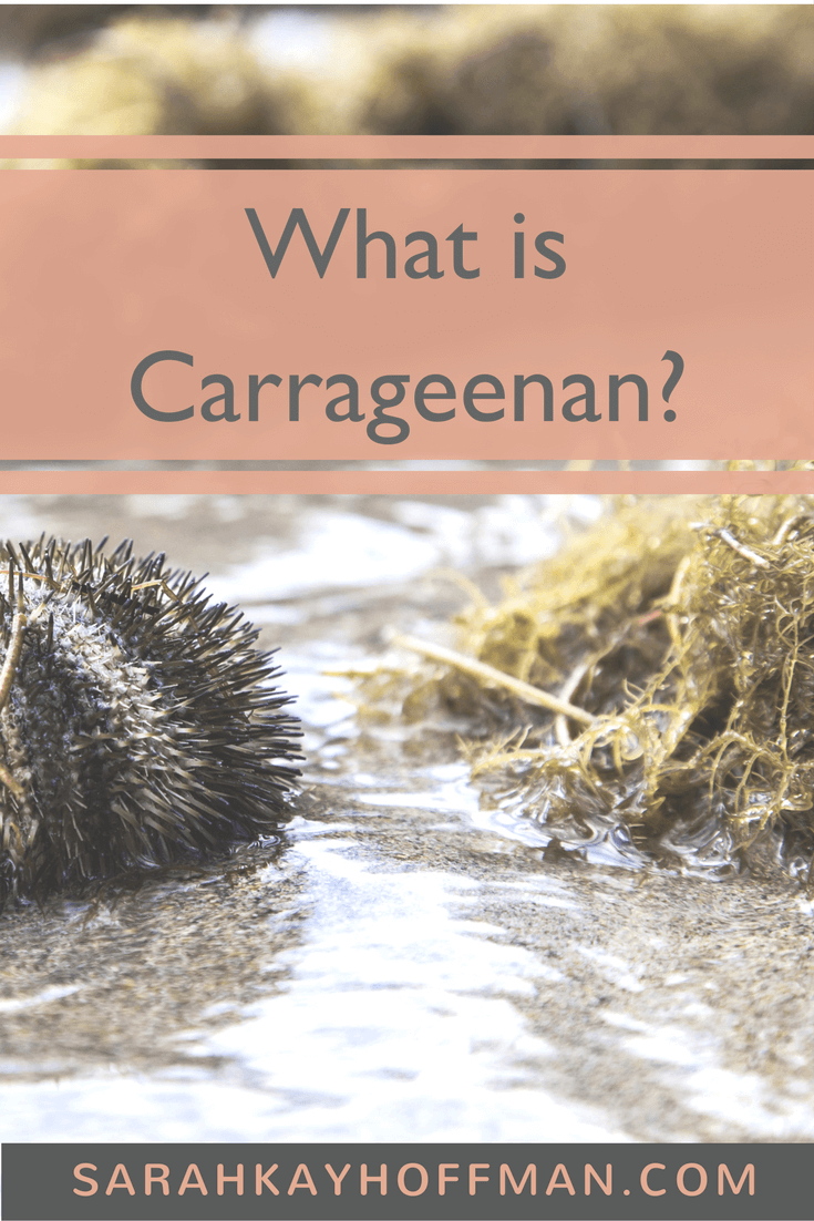 What's the Controversy Over Carrageenan? - Cornucopia Institute