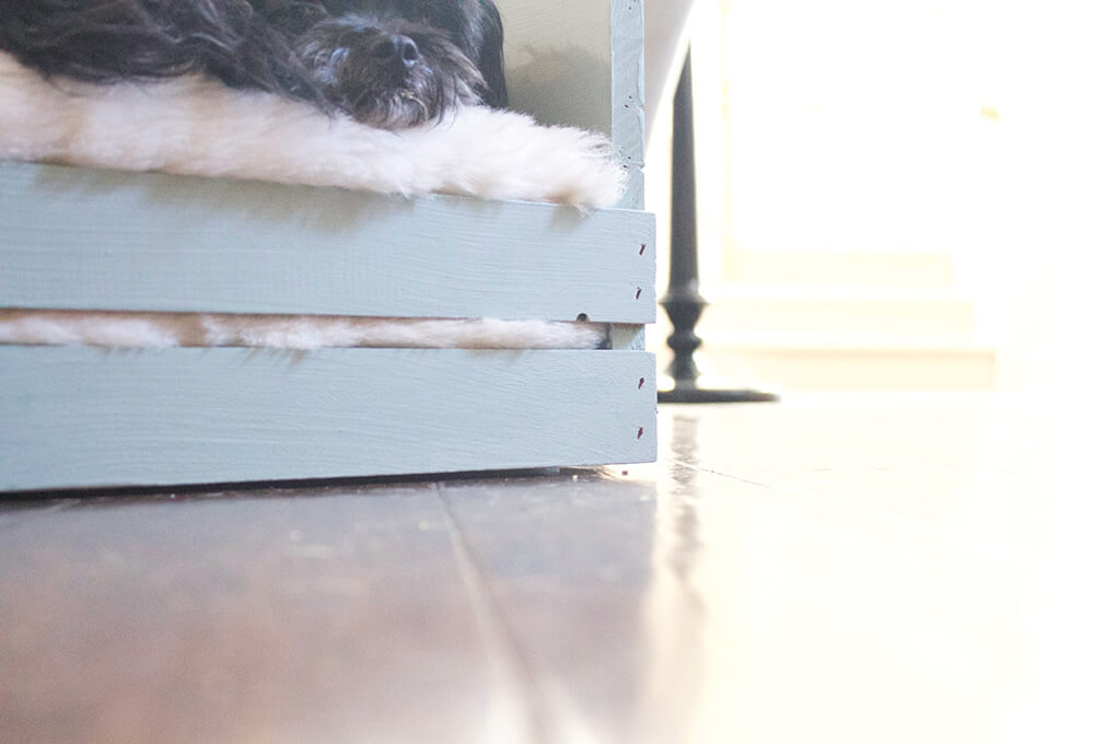 DIY Farmhouse Wooden Crate Bed for Puppy sarahkayhoffman.com Front of Crate