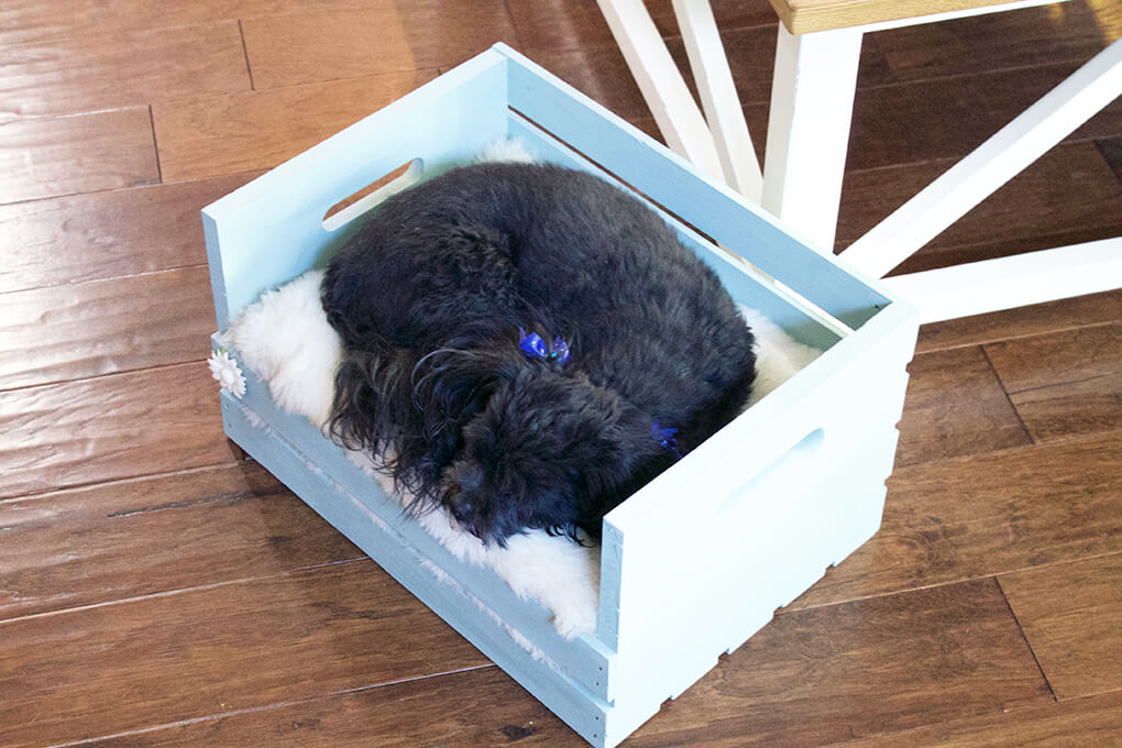 DIY Farmhouse Wooden Crate Bed for Puppy sarahkayhoffman.com In Crate