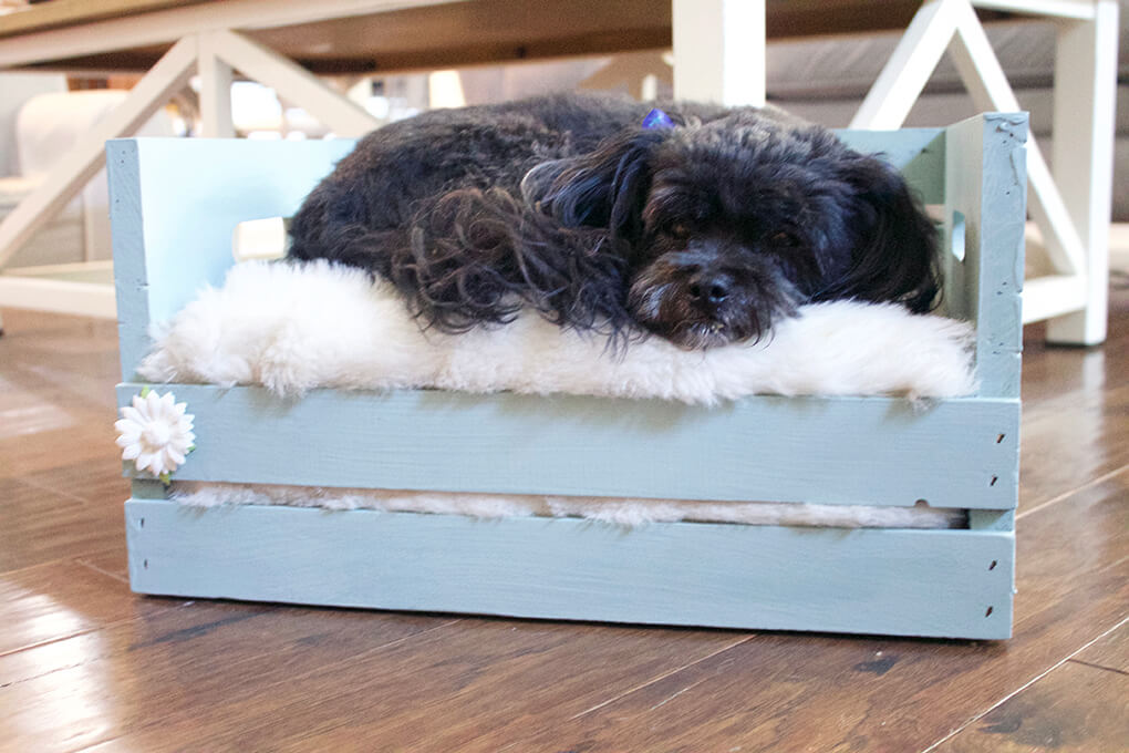 DIY Farmhouse Wooden Crate Bed for Puppy sarahkayhoffman.com Suburban Farmhouse Fiona