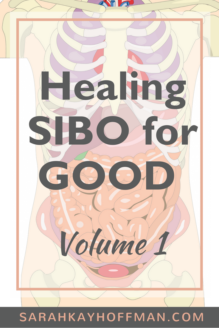 Healing SIBO for Good Volume 1 www.sarahkayhoffman.com