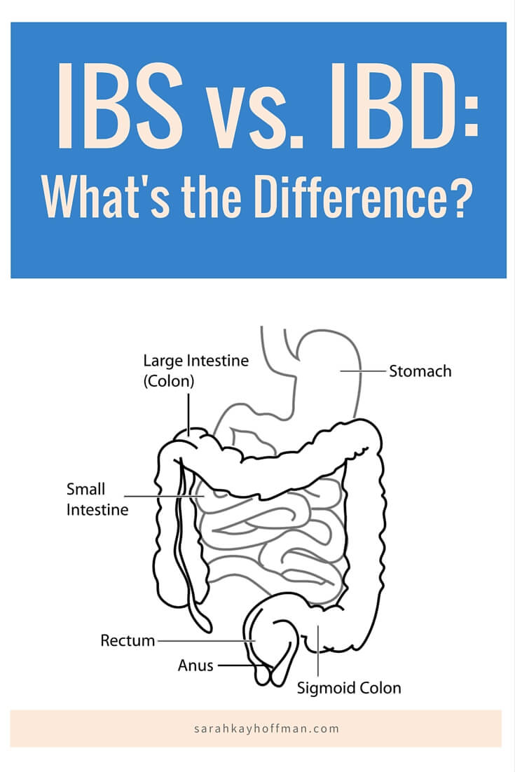 Colitis and Proctitis. IBS vs. IBD What's the Difference? sarahkayhoffman.com