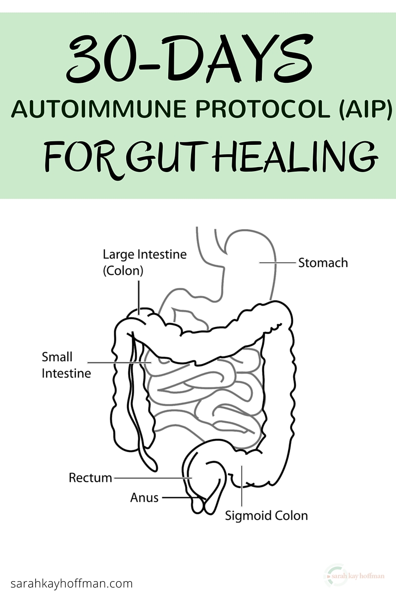 30-Days Strict AIP sarahkayhoffman.com