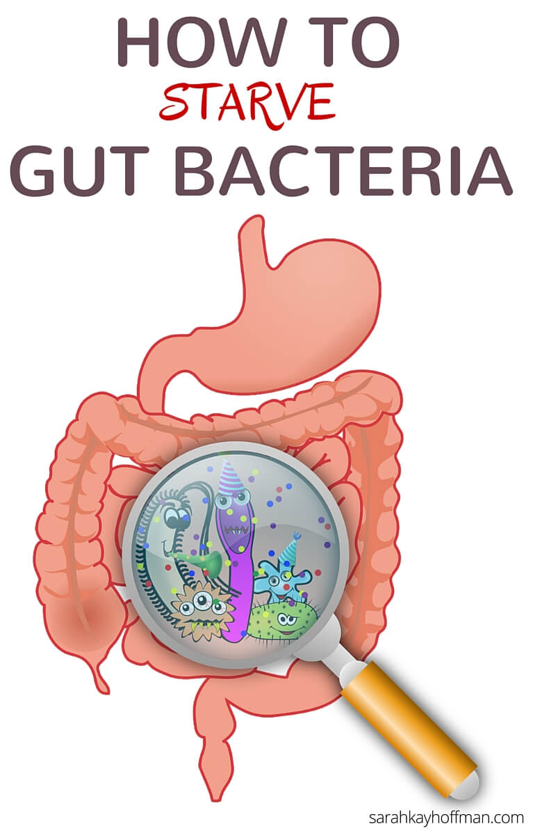 How to Starve Gut Bacteria sarahkayhoffman.com