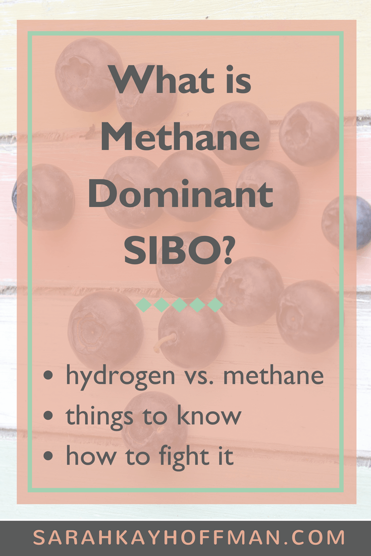 What Is Methane Dominant SIBO - A Gutsy Girl®