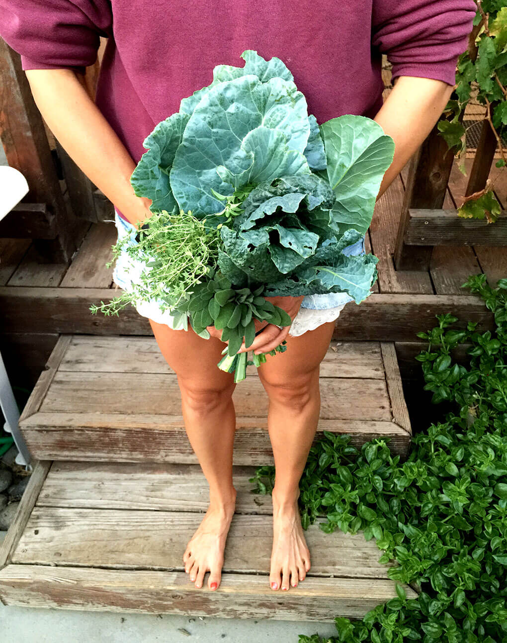 Planter Boxes and Babies sarahkayhoffman.com Greens Herbs Filling Foods