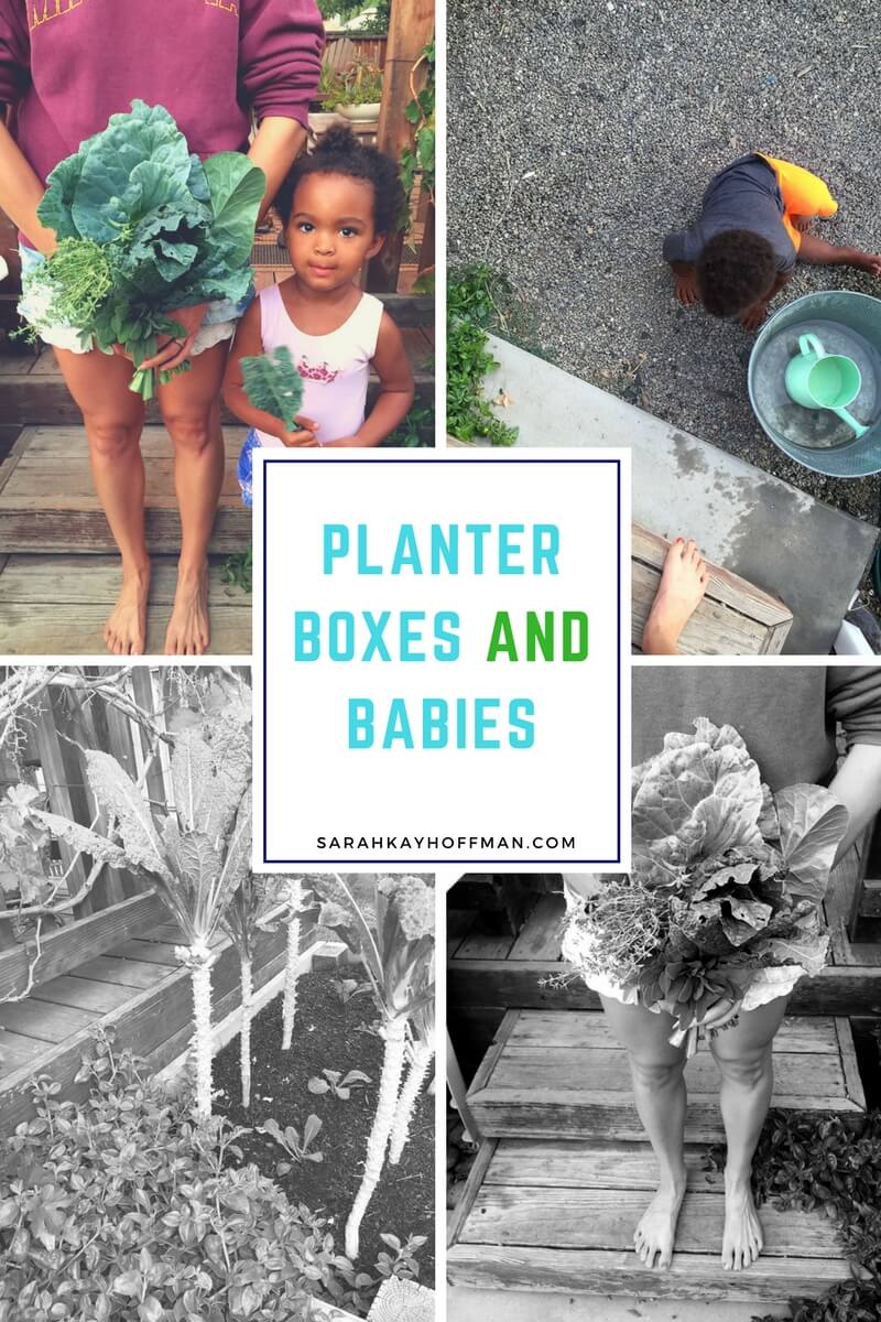 Planter Boxes and Babies sarahkayhoffman.com