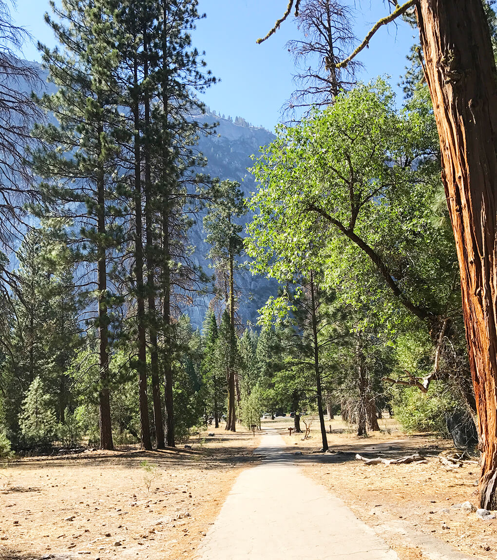 Hiking Yosemite sarahkayhoffman.com Bottom Glacier Point