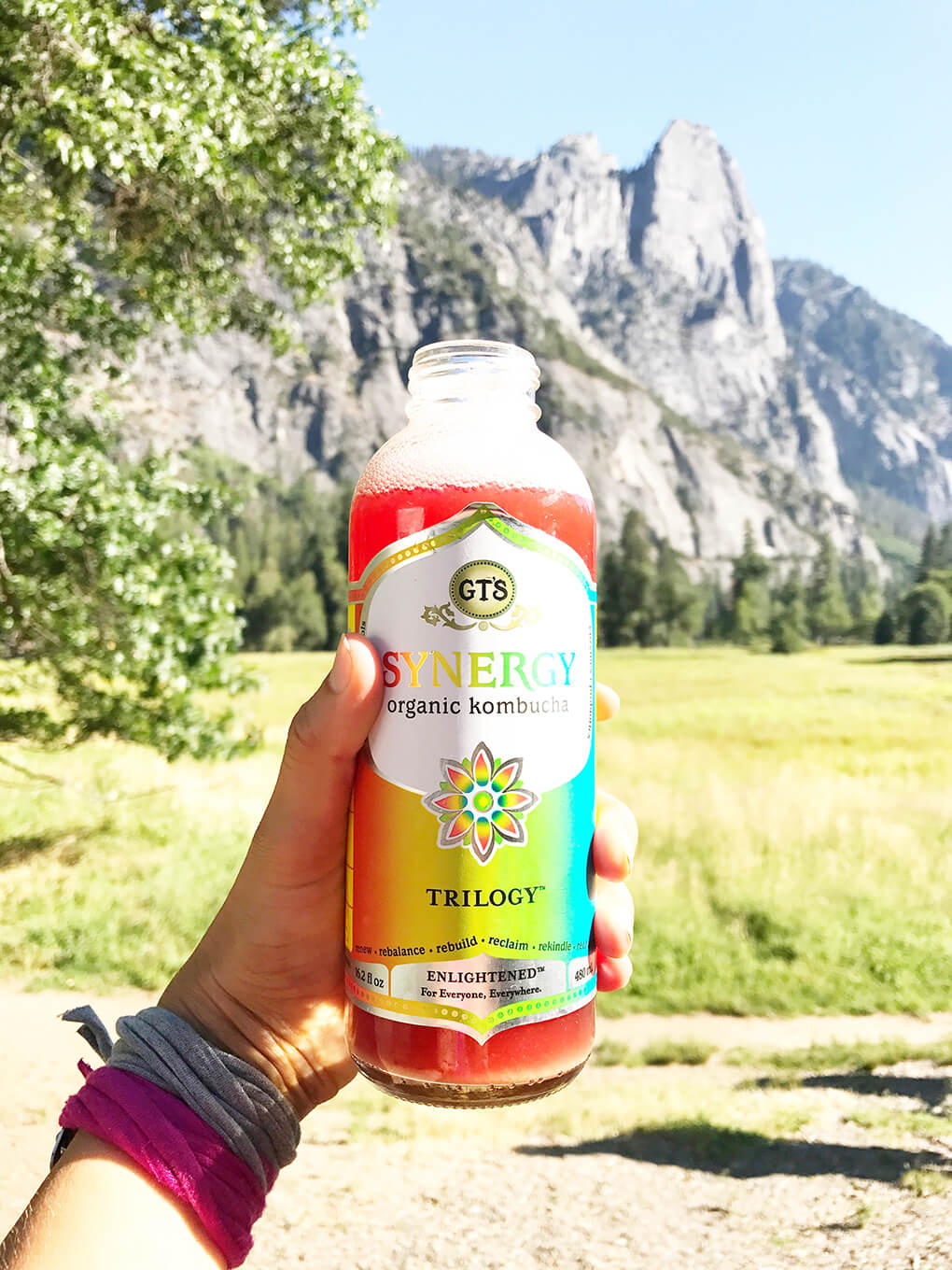 Hiking Yosemite sarahkayhoffman.com GT's Kombucha