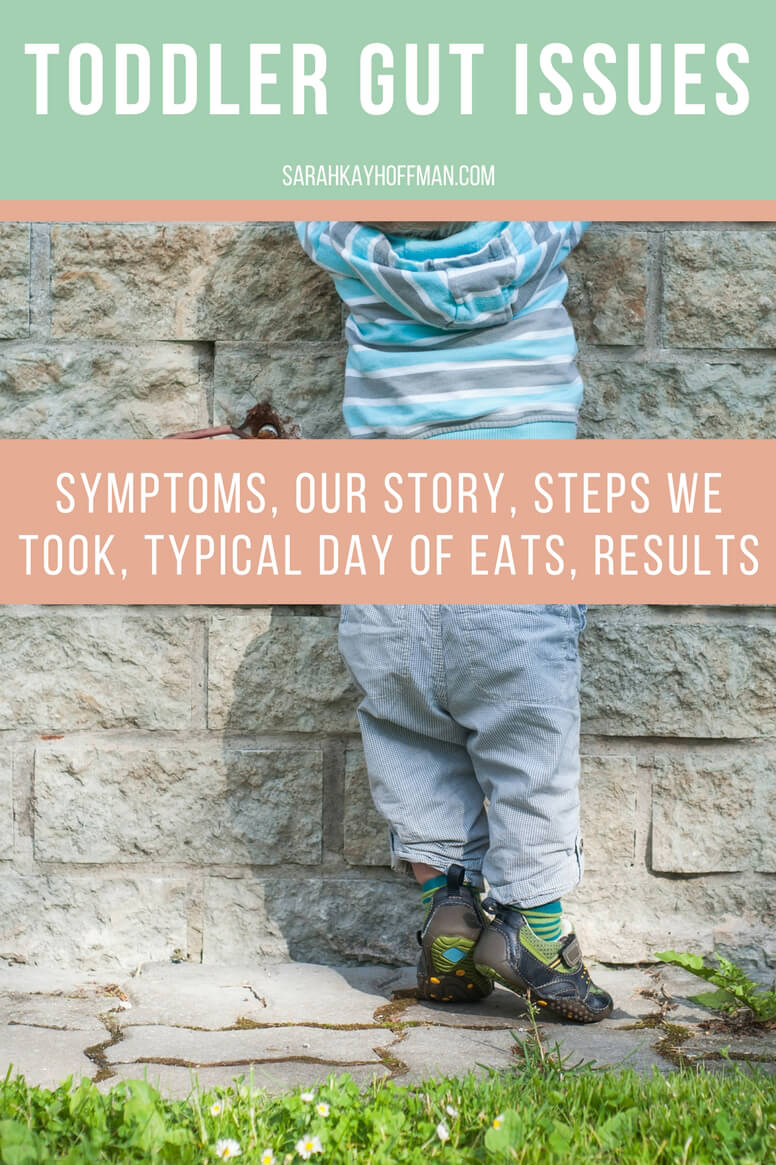 Toddler Gut Issues sarahkayhoffman.com symptoms, our story, steps we took, typical day of eats, results
