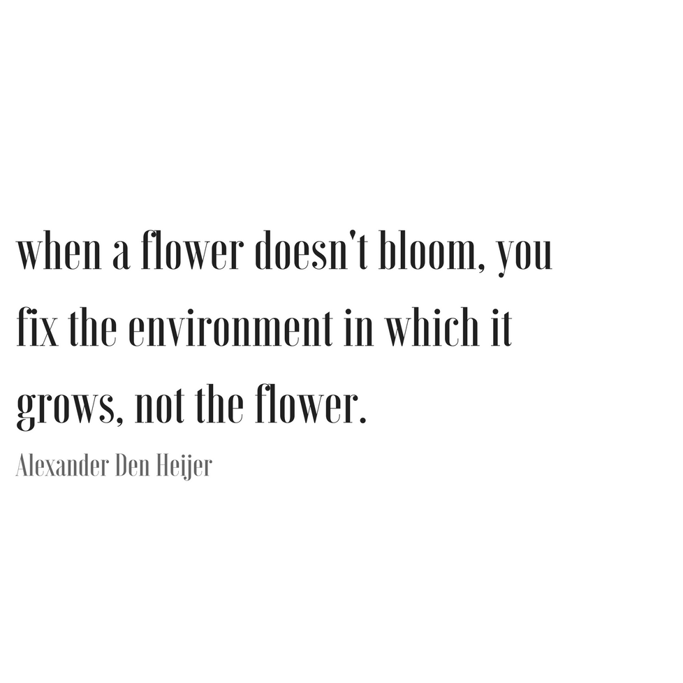 Fixing www.sarahkayhoffman.com flower grow quote quotes