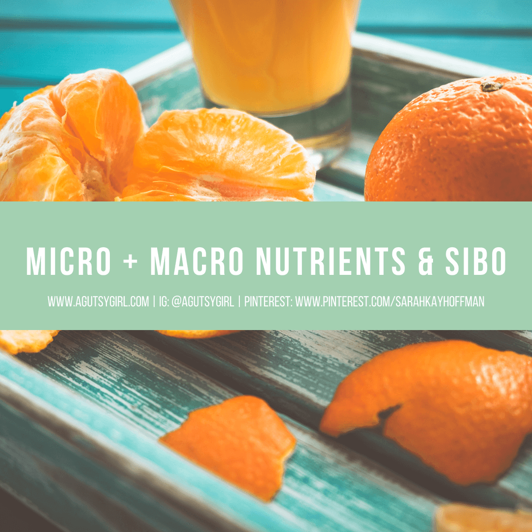 Micronutrients and Macronutrients with SIBO www.sarahkayhoffman.com #guthealth #macronutrients #SIBO #healthylifestyle