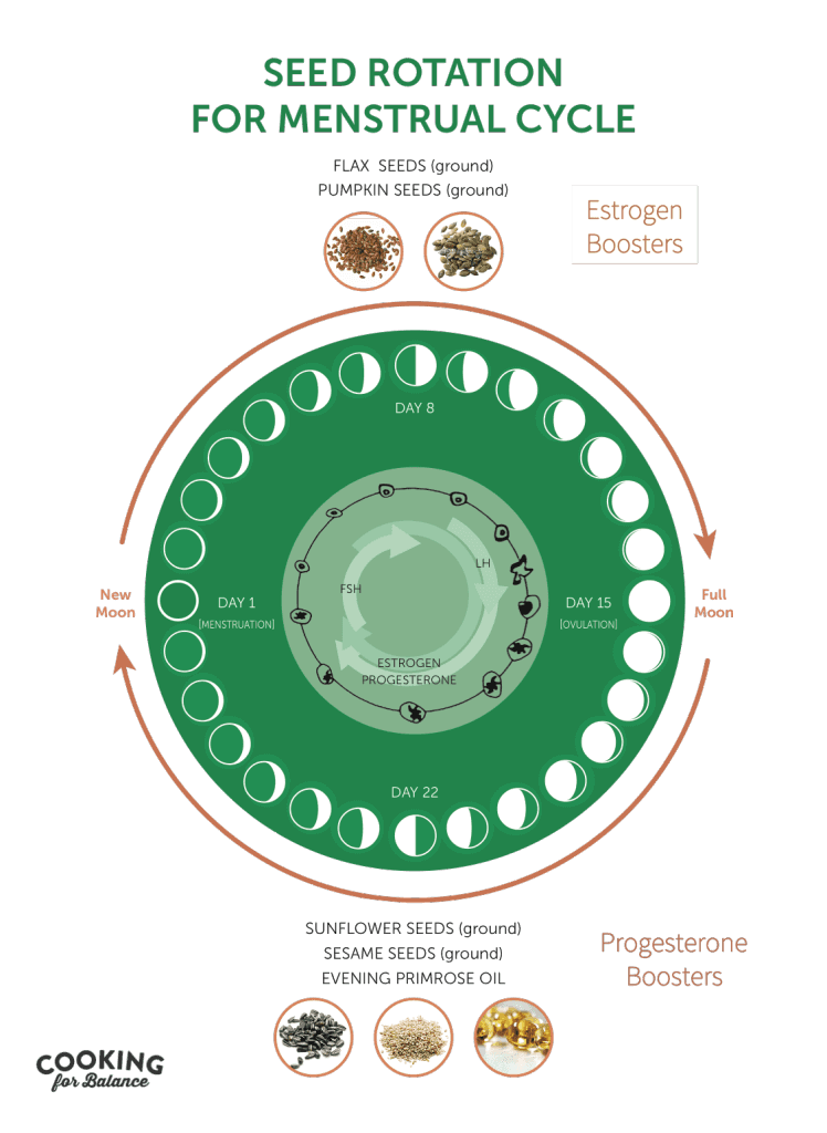 What is Seed Cycling www.sarahkayhoffman.com Dr. Joleen Brighten graphic #seedcycling #hormones #healthyliving #women