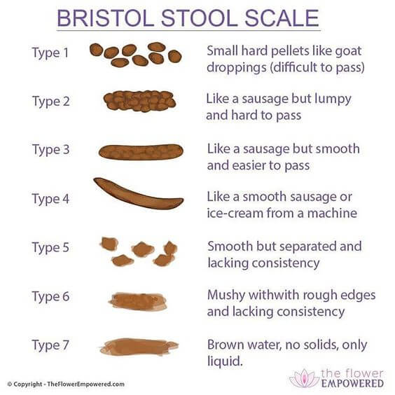 Bristol Stool Chart agutsygirl.com Flower Empowered #bristolstoolscale #ibs #guthealth #healthyliving